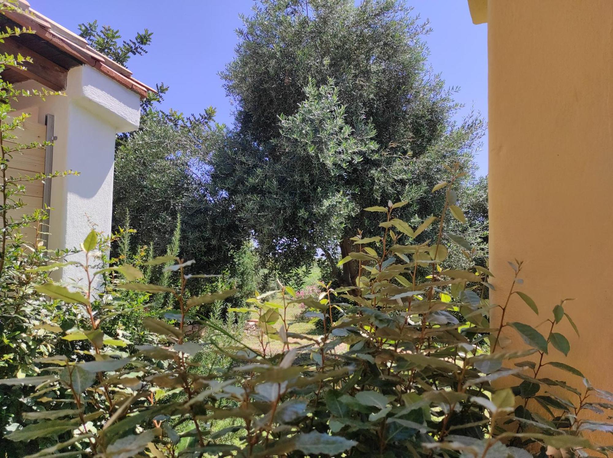 Sa Teria Village Tertenia Luaran gambar